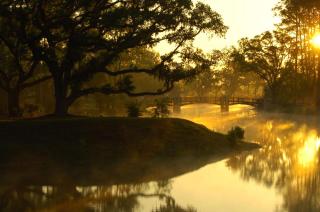 Montage Palmetto Bluff - 3