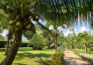 Beautiful bungalow with a communal outdoor pool and 2 km from the sandy beach - Ban Sa - 3