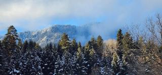 Mountain Resort Gantiadi - Borjomi - 3