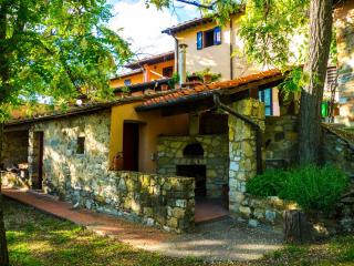 Agriturismo Verde Oliva - Bagno a Ripoli - 7