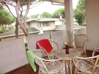 Spacious flat with fenced garden and fireplace - Bibione - 0