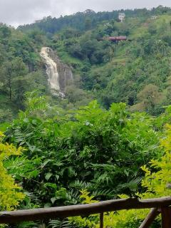 Super View - Ella - 6