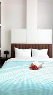 1,5 Bedroom downtown Chișinău - Chişinău - 0