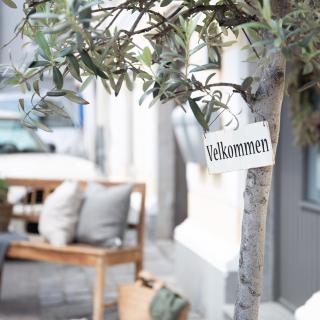 Privatzimmer - Sieben an der Donau - Ottensheim - 4