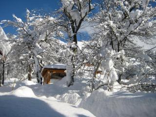 Haus Schrei - Grundlsee - 8