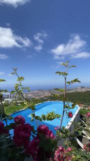Studio Geek Villa - Open Space - 5m from 5 top attractions - Pool all year round, Dining Pergola, Barbecue - Funchal Matrix Holiday Home - 3