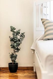 Diana's Centrally Located Apt@ Old Town of Corfu - Agios Rokkos - 6