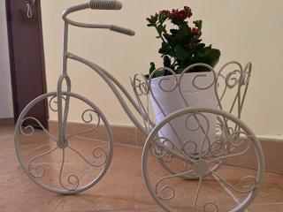 La casetta di Ale - 2