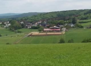 "Die Jockeysuite" auf unserem Reiterhof - Birkenbeul - 4