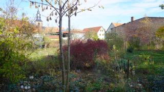 Hütte mit Herz im Harz - 5