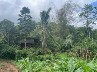 Caoni riverside Lodge - 8