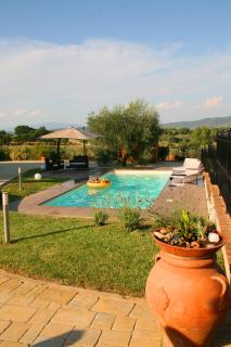 SUNNY HILL - Monte San Savino - 1