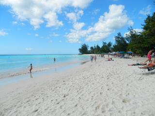 1B Hastings Towers - Bridgetown - 6