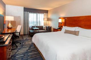 Rochester Airport Marriott - Rochester - 2