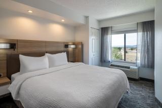 SpringHill Suites by Marriott Colorado Springs South - 2