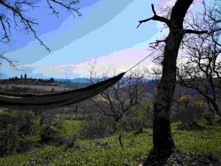 Terres de Barréjat - 2