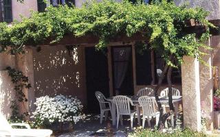 Au jardin de la ferme - gite vigne vierge - Six-Fours-les-Plages - 0