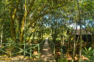 La Fortuna Natural Green - Fortuna - 5