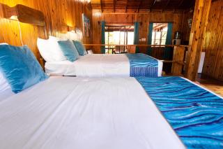 Mango Inn Resort - Utila - 3