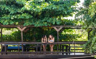 Mango Inn Resort - Utila - 7