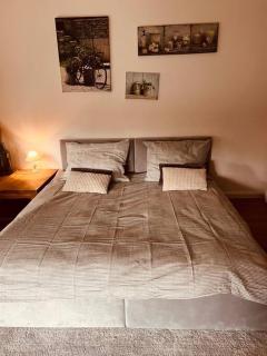 Beautiful ground floor apartment in Warsaw - Warsaw - 1