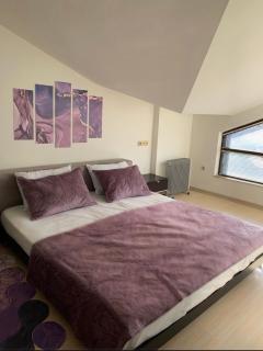 Central Art Apartment in Bansko with Mountain View - Bansko - 2