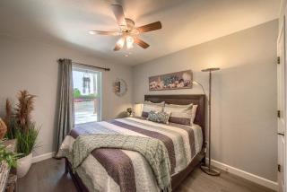 DT 534 Castle Shadow Cottage - New Braunfels - 1