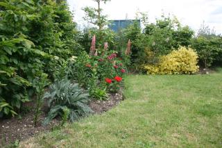 Red House Farm Accommodation - Tivetshall Saint Margaret - 6