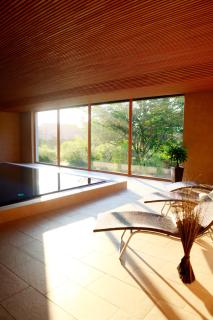 Landhotel Allgäuer Hof - Wolfegg - 0