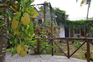 Suncosy Central Hotel - Phú Quốc - 6