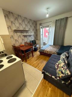 Ania apartment - Podgorica - 0