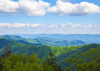 Chasing Views Tiny House - Dandridge - 3