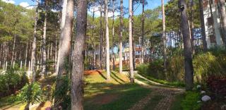 Omirita Resort Dalat - Dalat - 2
