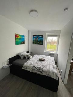 Apartments with WiFi Karlovac - 20584 - Karlovac - 5