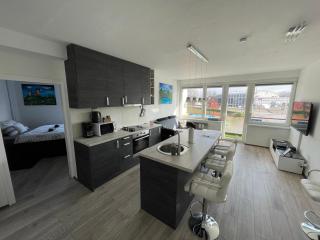 Apartments with WiFi Karlovac - 20584 - Karlovac - 3