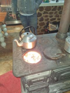 Hollybrooke Adventure Farm - 2