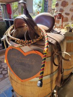 Hollybrooke Adventure Farm - Skeerpoort - 3
