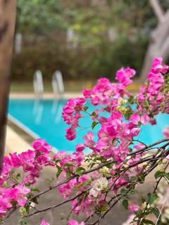 resort hoshihana - Chiang Mai - 3