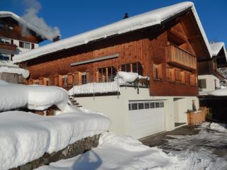 Haus Elfriede - Schwarzenberg im Bregenzerwald - 1