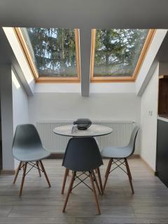 FAMILY STUDIO - Sinaia - 2