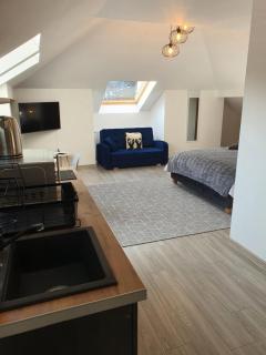 FAMILY STUDIO - Sinaia - 0