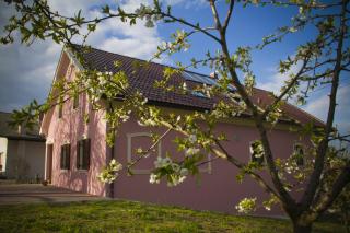 Merkež Guest House - 5