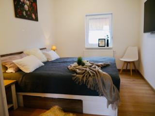 FeWo Fichte mit Balkon #Netflix #Innenstadtnähe von Harztraveler - 6