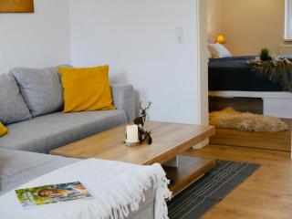 FeWo Fichte mit Balkon #Netflix #Innestadtnähe von Harztraveler - Bad Harzburg - 7