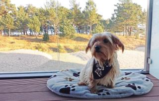 Princess - Binz - 8