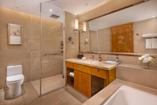 WorldHotel Grand Jiaxing Hunan - Changsha - 3
