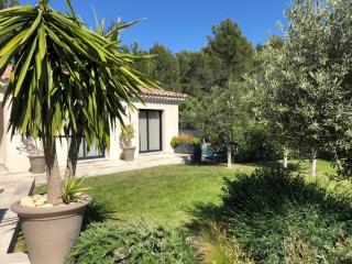 Chambre d’hôte de Charme avec Piscine privative - Eyguières - 9