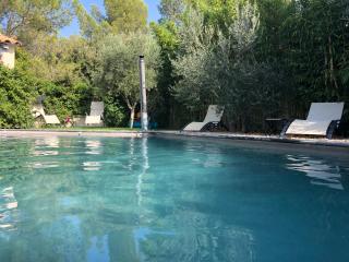 Chambre d’hôte de Charme avec Piscine privative - Eyguières - 7