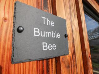 The Bumblebee - Pembroke - 8