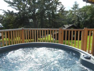 Lord Galloway 36 with Hot Tub - 9